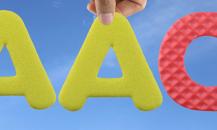 Augmentative and Alternative Communication (AAC) Progress Report 2019