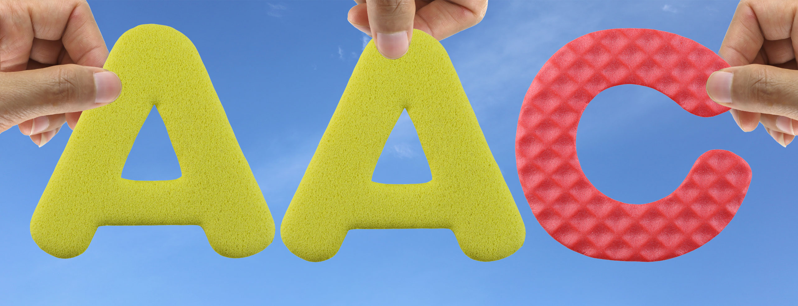 Augmentative and Alternative Communication (AAC) Progress Report 2019